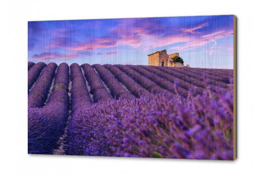 0 Тест Авторская 0 Тест Авторская